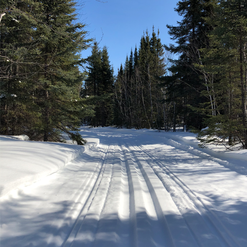 Cross country ski trails at Clearwater Lake Provincial park
